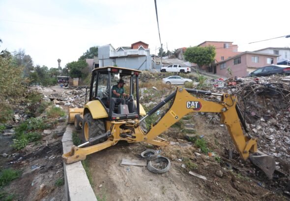 WhatsApp Image 2026-04-09 at 19.11.58