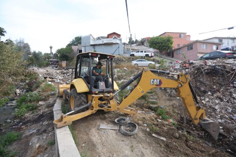 WhatsApp Image 2026-04-09 at 19.11.58