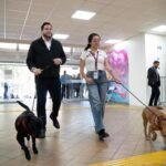 WhatsApp Image 2026-04-11 at 12.39.52