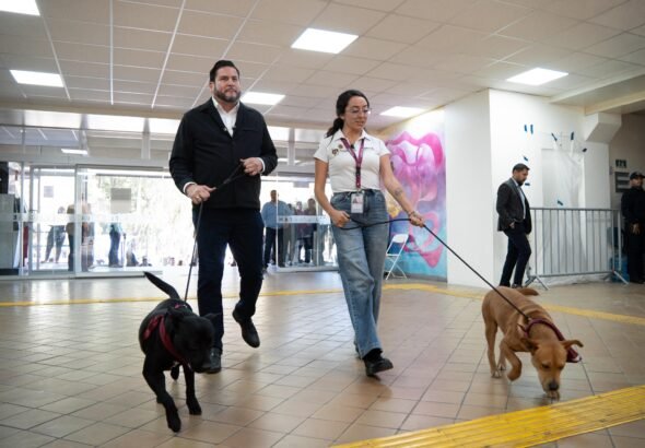 WhatsApp Image 2026-04-11 at 12.39.52