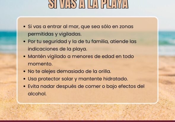 WhatsApp Image 2026-04-11 at 16.12.29