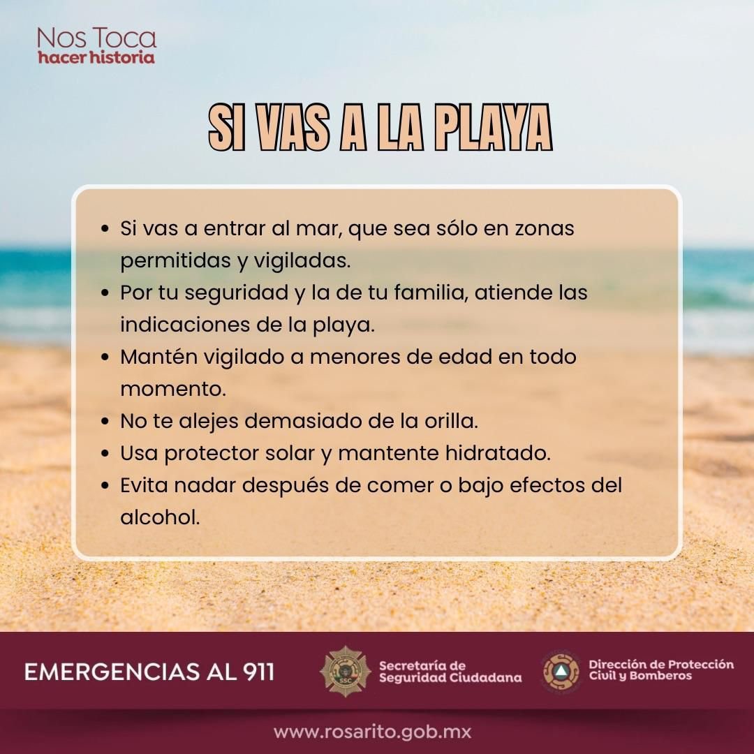 WhatsApp Image 2026-04-11 at 16.12.29