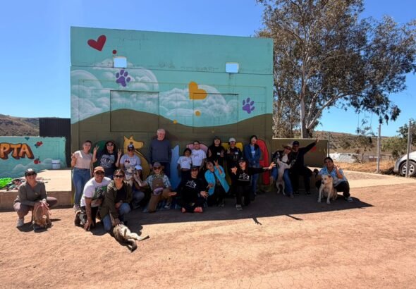 WhatsApp Image 2026-04-12 at 14.42.48