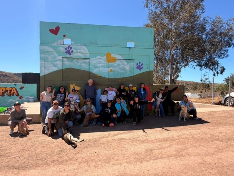 WhatsApp Image 2026-04-12 at 14.42.48