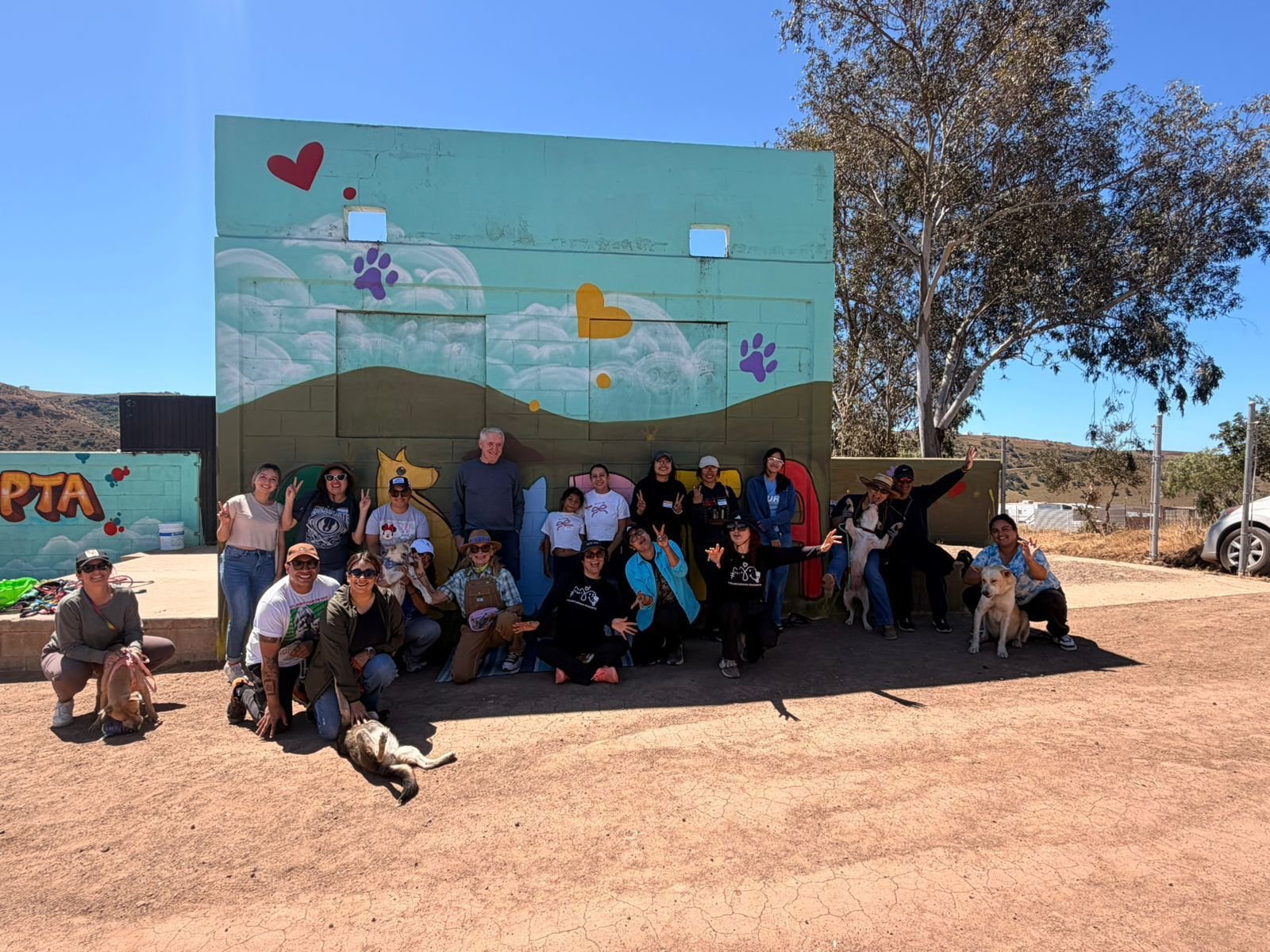 WhatsApp Image 2026-04-12 at 14.42.48