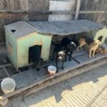 WhatsApp Image 2026-04-13 at 11.22.08