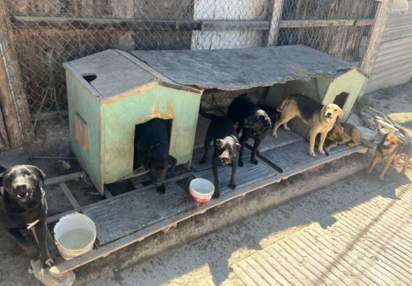 WhatsApp Image 2026-04-13 at 11.22.08