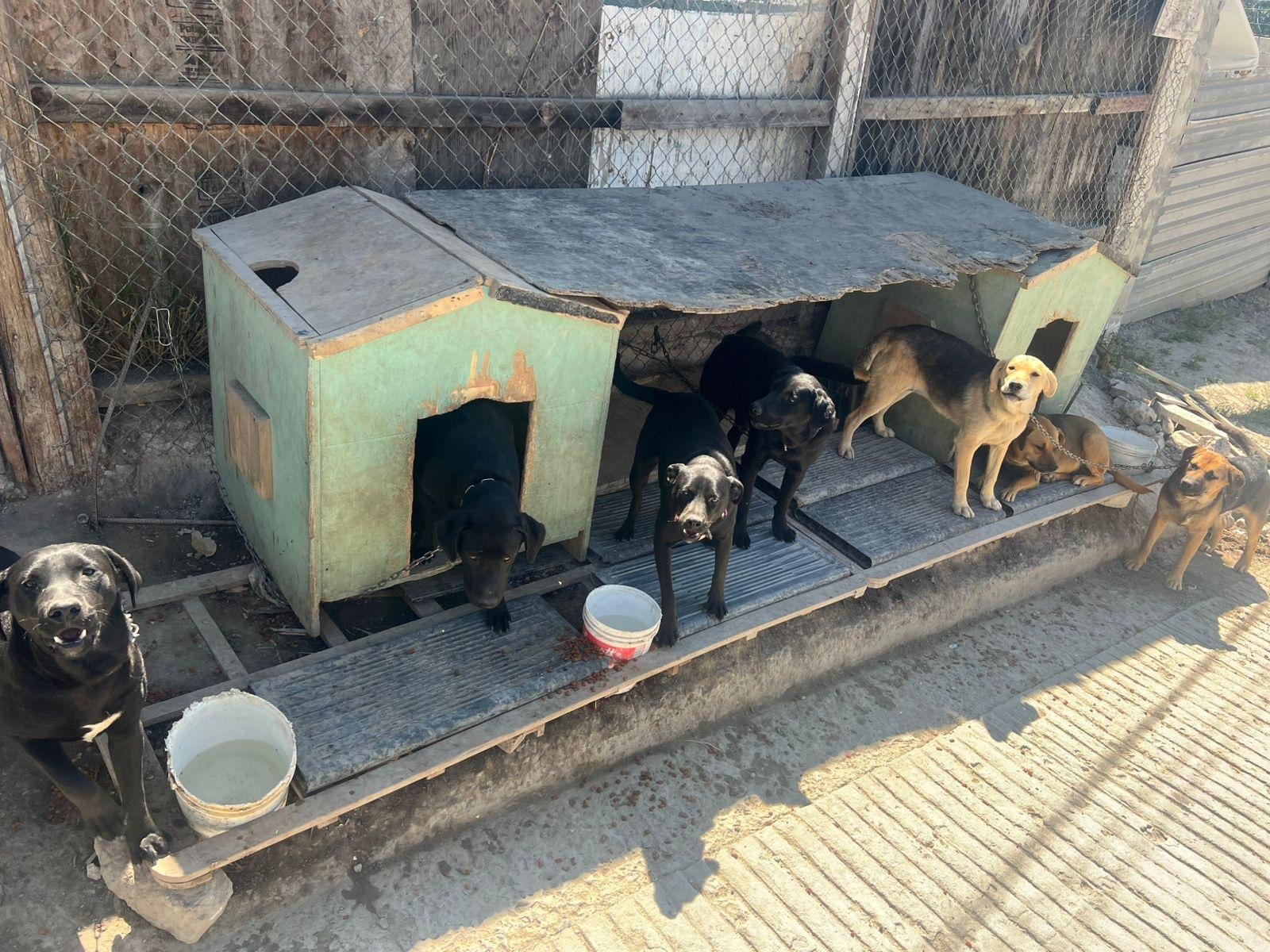 WhatsApp Image 2026-04-13 at 11.22.08