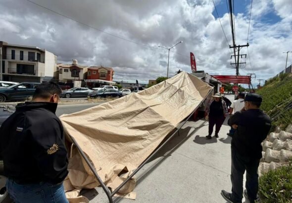 WhatsApp Image 2026-04-13 at 11.22.36