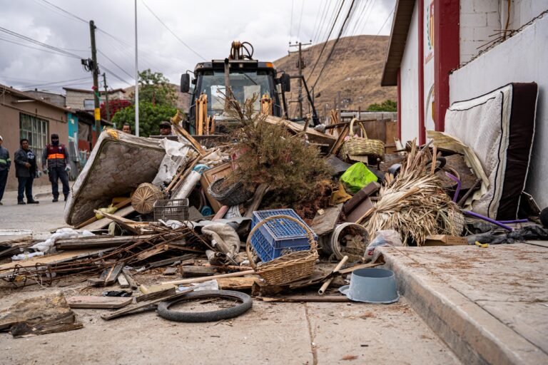 WhatsApp Image 2026-04-14 at 09.37.43