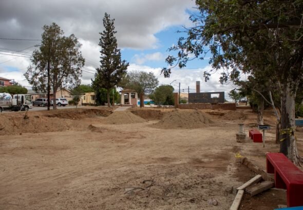 WhatsApp Image 2026-04-14 at 09.38.06