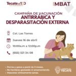 WhatsApp Image 2026-04-15 at 17.39.47