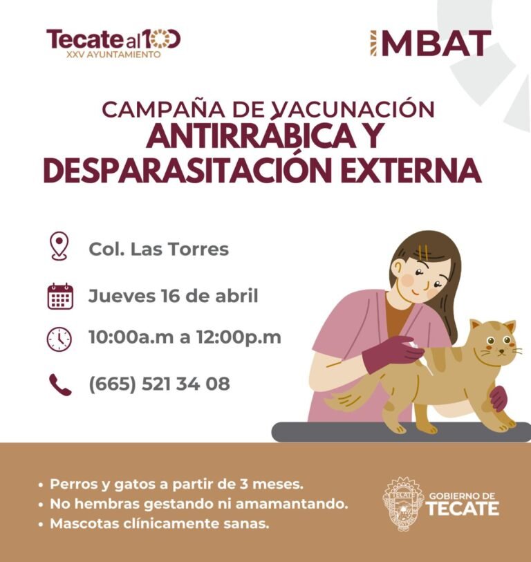 WhatsApp Image 2026-04-15 at 17.39.47