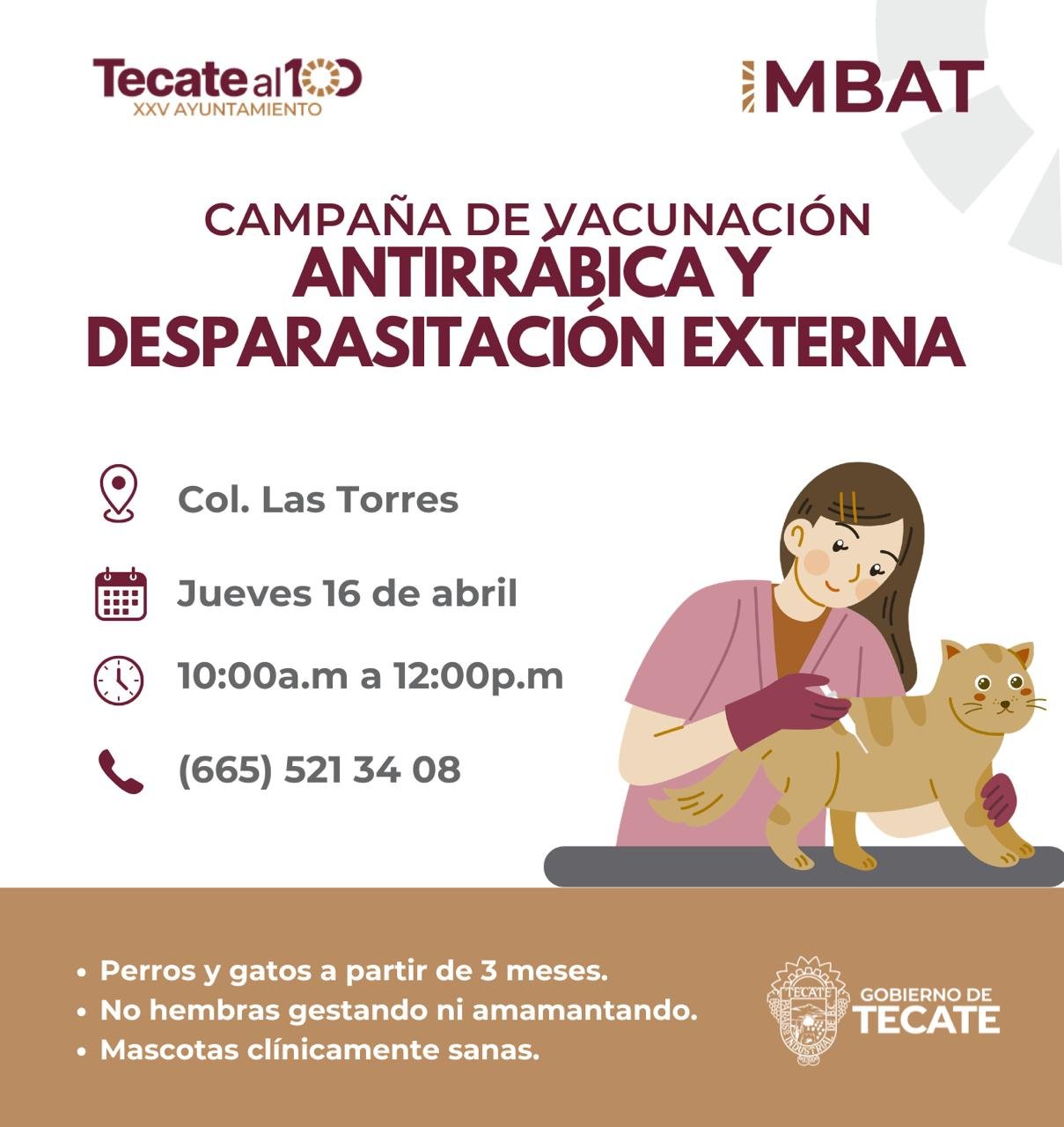 WhatsApp Image 2026-04-15 at 17.39.47