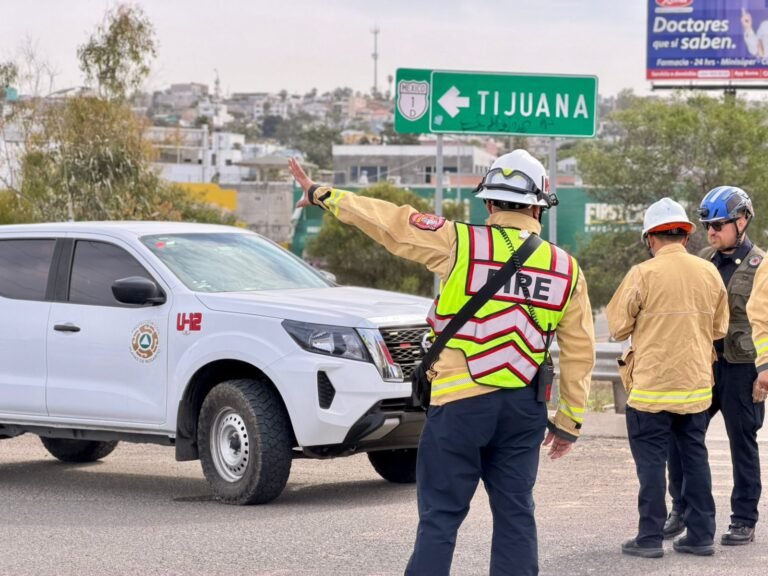 WhatsApp Image 2026-04-16 at 10.09.08