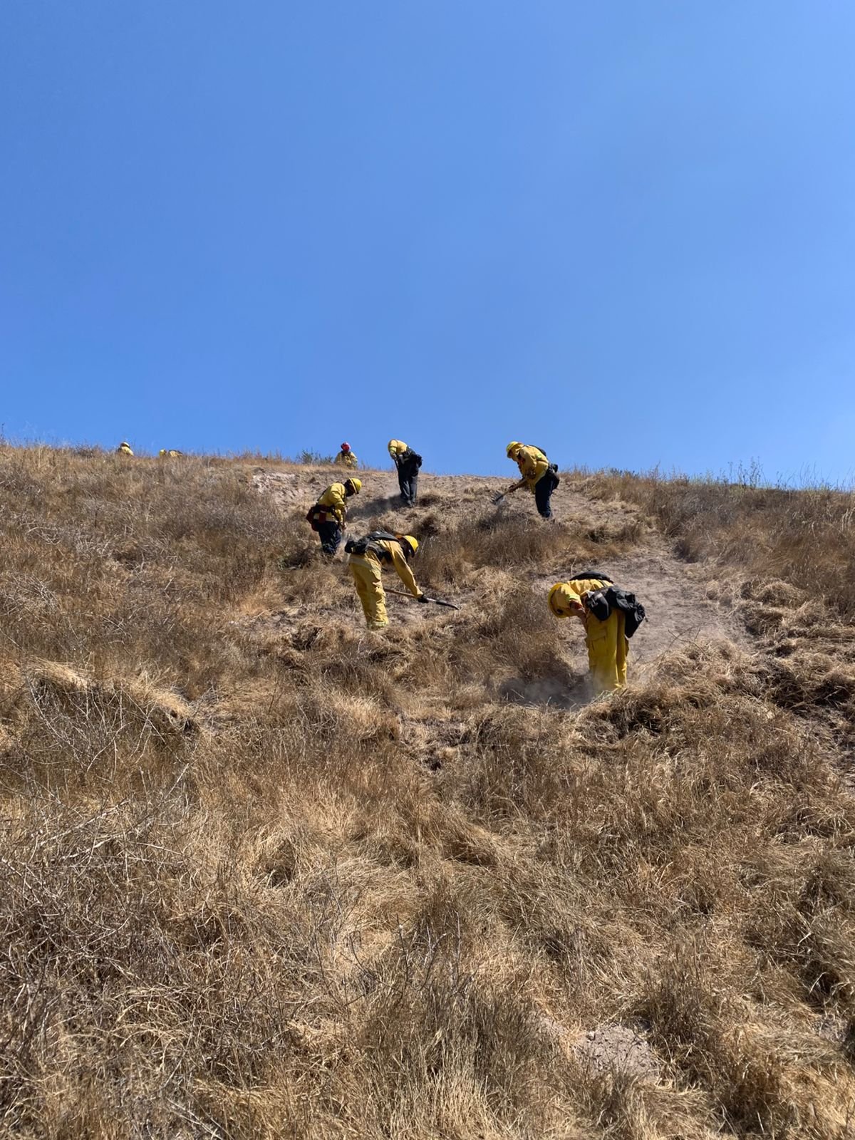 WhatsApp Image 2026-04-17 at 09.14.24