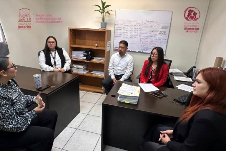 WhatsApp Image 2026-04-17 at 19.32.25