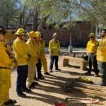 WhatsApp Image 2026-04-20 at 13.26.49 (1)