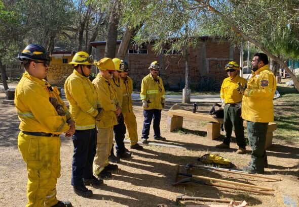 WhatsApp Image 2026-04-20 at 13.26.49 (1)