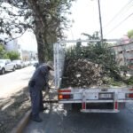 WhatsApp Image 2026-04-22 at 17.27.03