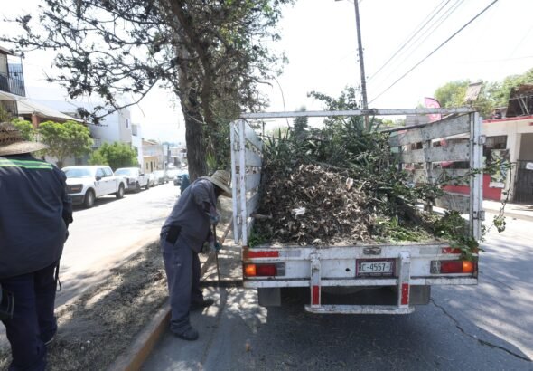 WhatsApp Image 2026-04-22 at 17.27.03