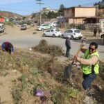 WhatsApp Image 2026-04-23 at 16.14.12