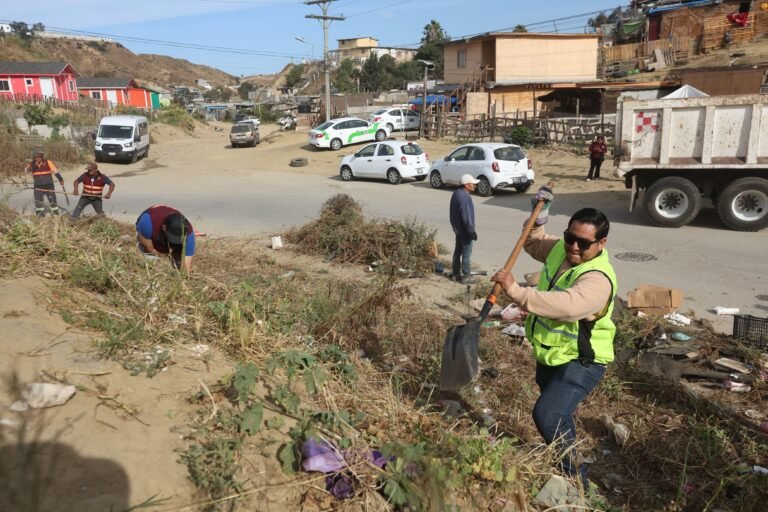 WhatsApp Image 2026-04-23 at 16.14.12