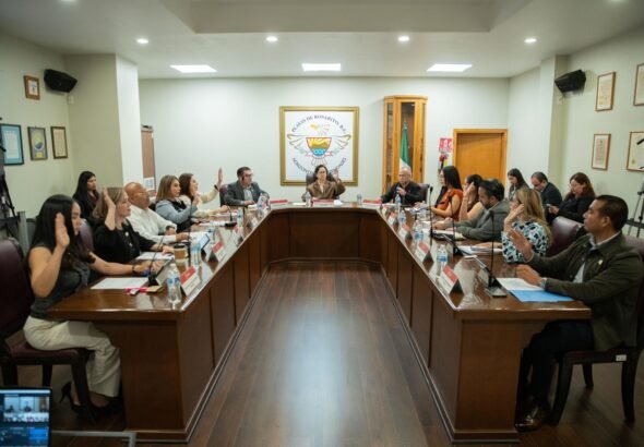 WhatsApp Image 2026-04-23 at 18.26.22