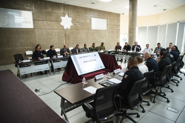 WhatsApp Image 2026-04-24 at 10.02.39 (1)