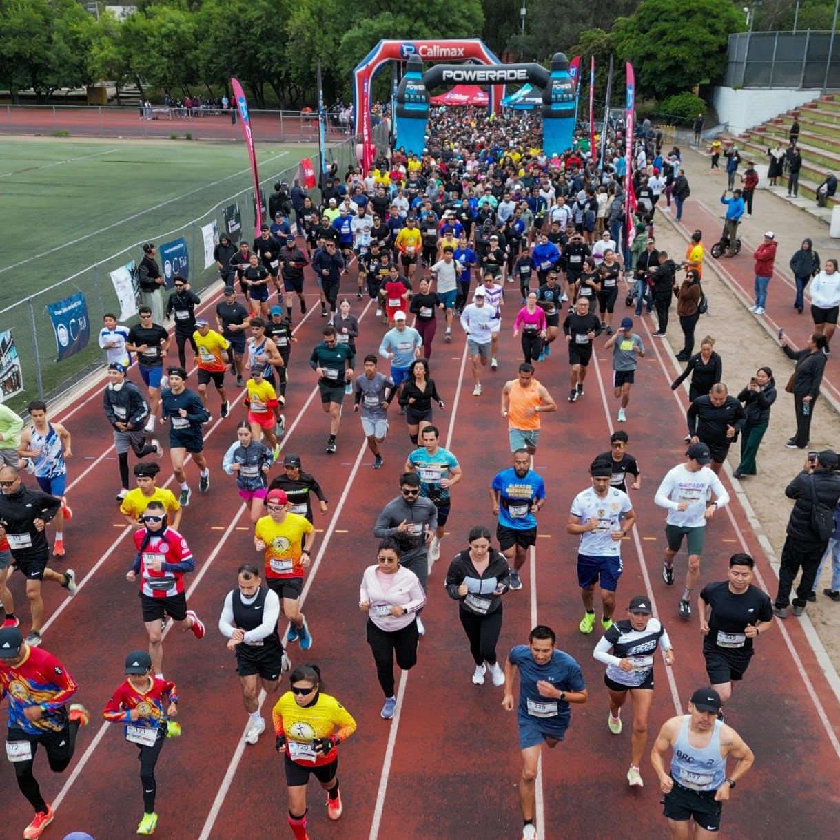 WhatsApp Image 2026-04-26 at 20.13.57 (2)