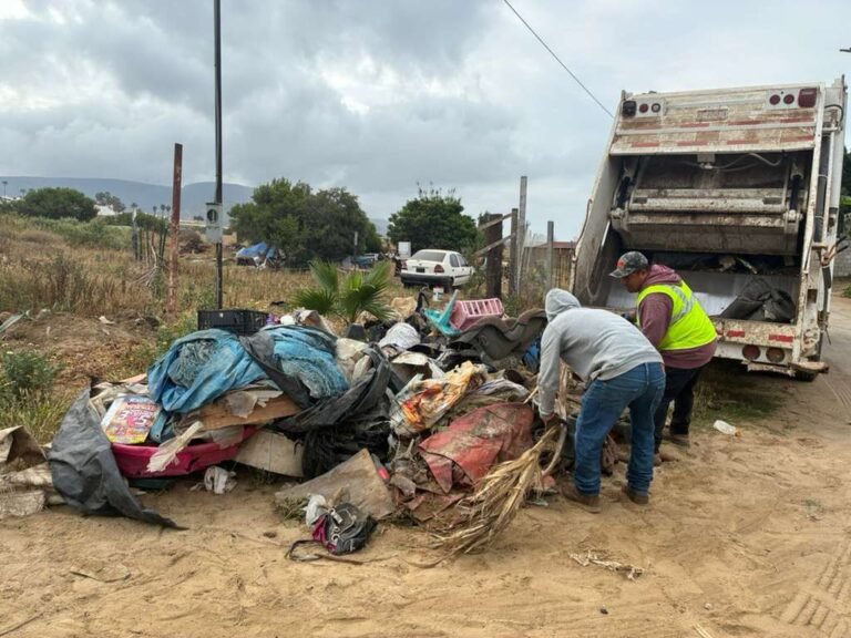 WhatsApp Image 2026-04-27 at 14.16.13