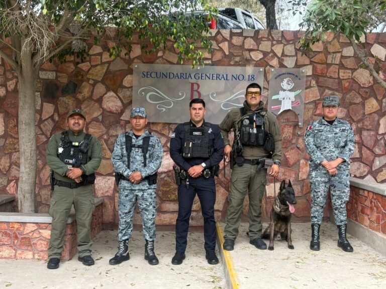 WhatsApp Image 2026-04-28 at 10.12.12 (1)