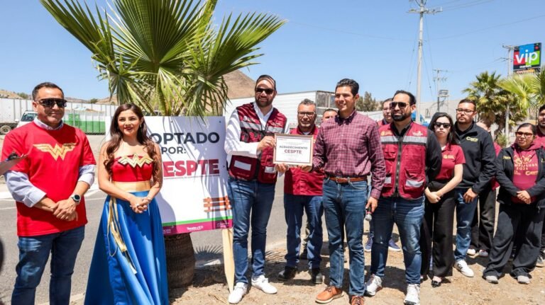 WhatsApp Image 2026-04-28 at 18.22.53